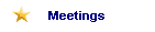 Meetings